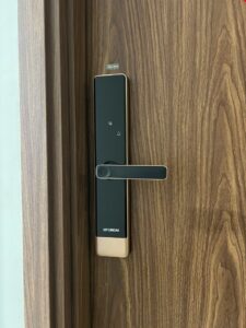 Khóa vân tay cửa gỗ tay gạt Hyundai HY-SL007