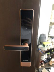 Khóa vân tay cửa gỗ tay gạt Hyundai HY-SL007