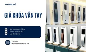 Báo giá khoá vân tay phổ biến hiện nay | Hyundai Smart Lock