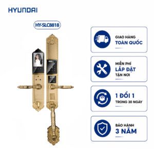 Khóa cửa vân tay tân cổ điển HYUNDAI HY-SLC8818 Gold
