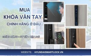 Mua khóa cửa vân tay Hyundai chính hãng ở đâu uy tín
