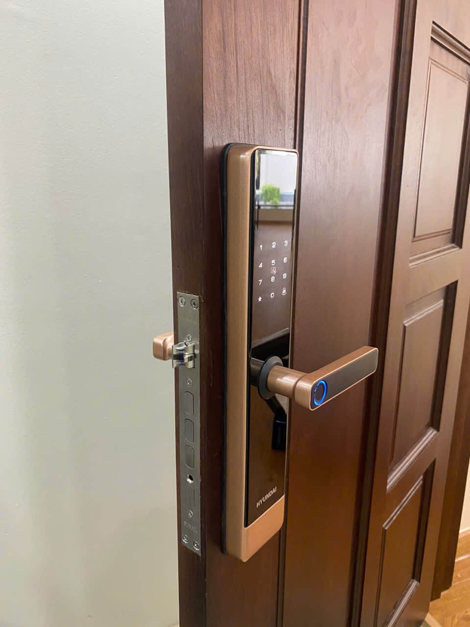 Real Life Image of Hyundai HY-SL007 Fingerprint Smart Lock