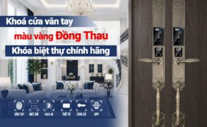 Khoá cửa vân tay màu vàng Đồng Thau Khóa biệt thự chính hãng