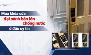 Mua khóa cửa đại sảnh bản lớn chống nước cho biệt thự ở đâu uy tín