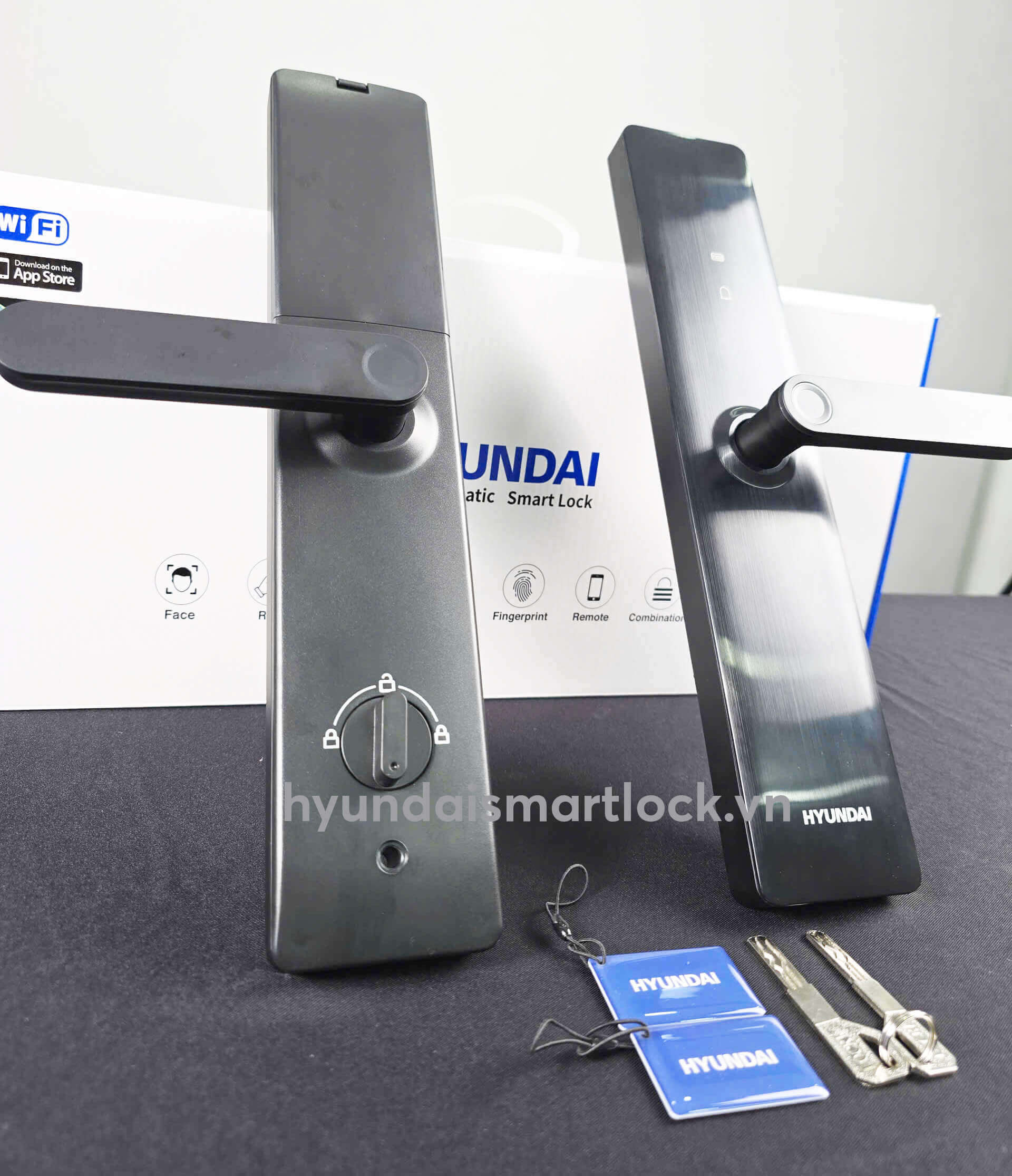 Hyundai HY-SL006 with RFID Cards and Backup Keys