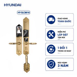 Khóa cửa vân tay tân cổ điển HYUNDAI HY-SLC8818 Gold